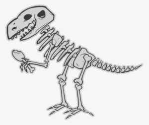 Vector Black And White Stock Dinosaur Bones Clip Art - Esqueleto De Dinosaurio Dibujo #2114069