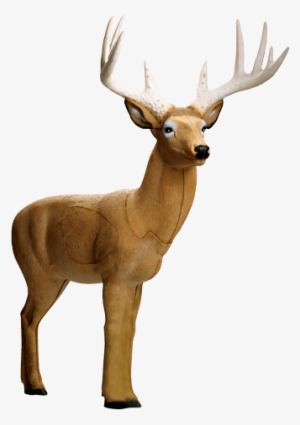 Booner Buck - Rinehart Targets Rinehart Booner Buck Archery Target #2114908