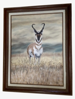 Lawton, Pronghorn Antelope Buck Realism Oil Painting - Oil Painting #2115003