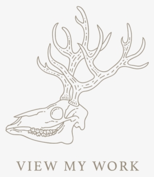 View My Work - Photography #2116595