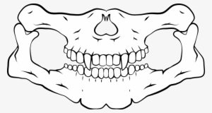 Skull Bandana Png - Skull Mouth Scarf Png #2117459