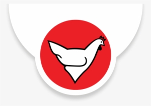 Rainbow Chickens - Rainbow Chicken Production #2117693