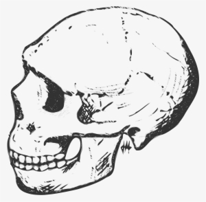 Big Image - Skull Clipart #2117715