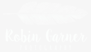 Blog At Wordpress - Calligraphy #2118181