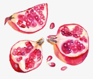 The Sensual Starfish - Tropical Tumblr Transparent #2118337