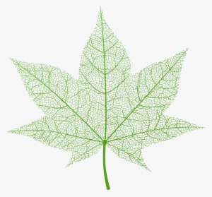 Transparent Green Autumn Leaf Png Clip Art Image - Transparent Background Fall Leaf Png #2118398