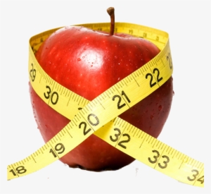 How Does The Swissfitt Fit & Healthy Lifestyle Program #2118847