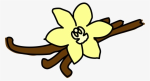 Madagascar Vanilla Ice Cream #2118851