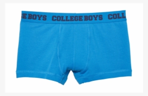 Boys' Underwear, Blue Boxer Briefs - Underpants #2119858