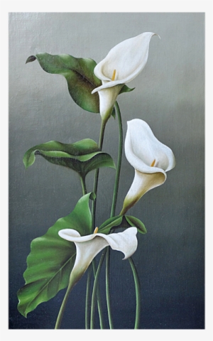 Still Life With Calla Lily Oil On Canvas - Oil Painting #2120033