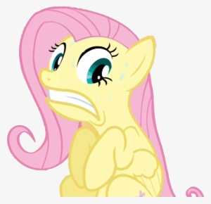 , Nope Nope Nope Nope Nope ) - My Little Pony Fluttershy Front #2120340