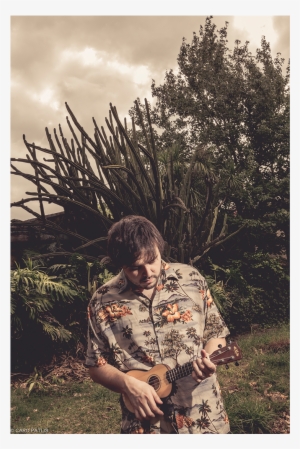 Pluto's Not A Planet - Lodgepole Pine #2121421