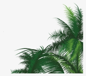 Tubes Champignons / Feuillages - Vector Coconut Tree Leaves #2121569