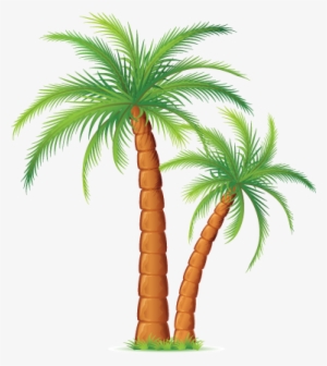 Palmeras Png - Idaman Permai Resort #2121652