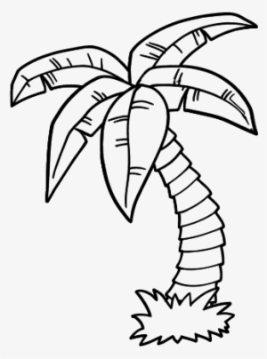 Colouring Pages Palm Trees #2122050