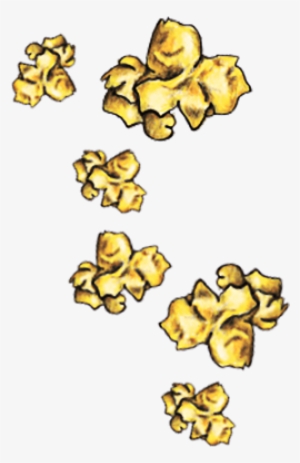 Popcorn Kernel Png Png Free Library - Cartoon #2122116