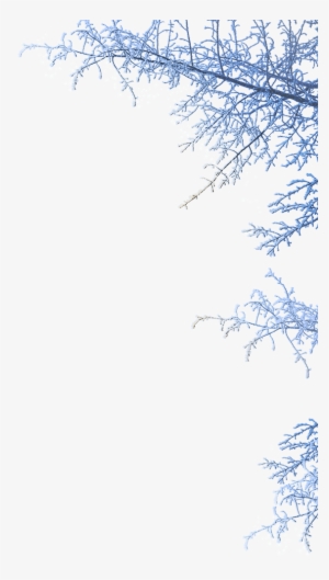 Opens Thurs 22 Nov At 4pm - Winter Png #2122353