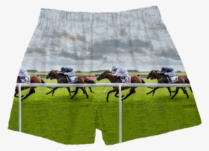 Horse Racing Boxers - Artificial Turf #2123347
