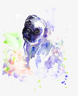 Pug #2123378