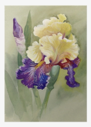 Abbott Collection Magic Spring Paper Napkins, Large #2124574