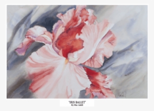 Iris Ballet - Northern Promotions Framed Art - Iris Ballet By Mac #2124675