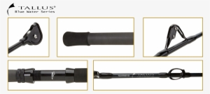 Shimano Tallus Blue Water Ec Series Conventional Rod #2124744