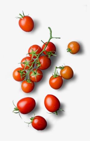 Tomates-cerise - Vegetable Png Top Wiev #2127115