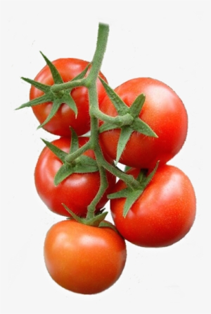 Buchet De Tomate - Томаты Пнг #2127326