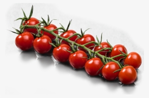 Tomate Jouno, The Market Leaders - Cherry Tomatoes #2127375