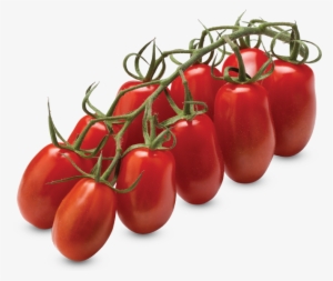 Mini San Marzano Vine Tomatoes - Certified Organic Seeds (apr. 100) - San Marzano Paste #2127798
