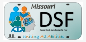 Uniting All Abilities License Plate #2128912