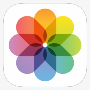 Ios Gallery Icon Png #2129758