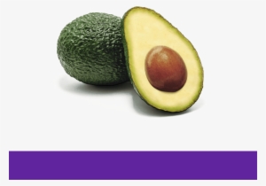 Tropical Millenium Home - Avocado #2130025