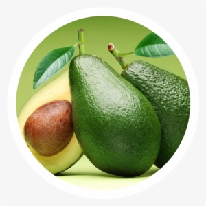 Contactenos - Boost Metabolism And Lose Weight Essentials #2130125