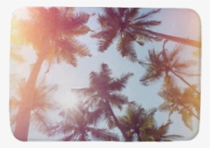 Palms Trees On A Beach Vintage Stylized With Film Light - Film #2130127 Palms Trees On A Beach Vintage Stylized With Film Light - Film #2130127