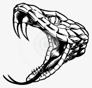 Snake Fangs Png Clip Royalty Free Library - Rattlesnake Black And White #2130203