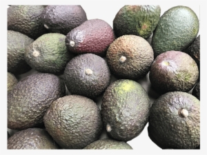Aguacate - Food #2130274