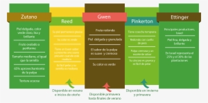 La Palabra Guacamole Proviene Del Náhuatl ”ahuacamolli”, - Brochure #2130447