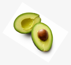 This Cycle Is Responsible For The Synthesis Of Major - Avocado #2130467