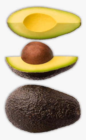 Browse K - Avocado #2130539