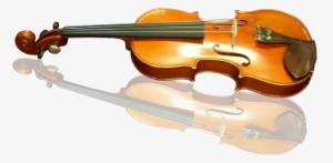 Orchestral Instruments - String Violin Orchestral Instruments #2130920
