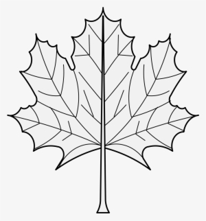 Details, Png - Maple Leaf #2131501