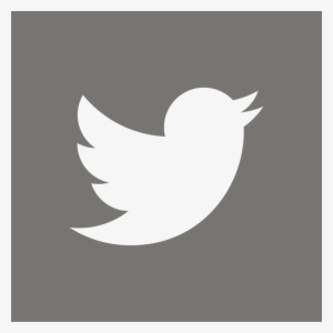 Twitter Logo Clear On Grey-05 - Twitter Logo On Grey Background #2134249