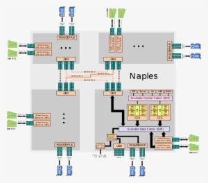 Amd Naples Soc - Floor Plan #2135606
