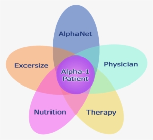 Venn Diagram Big - Diagram #2136962