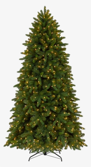 Unlit Christmas Tree #2137259