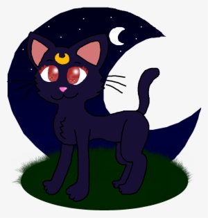 Favorite - Cat #2138926