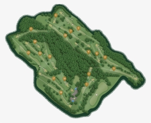 The Golf Course - Newport Golf Club #2139834