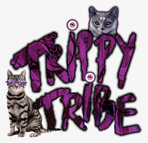 Trippy Tribe - Note Cards (pk Of 20) #2140889