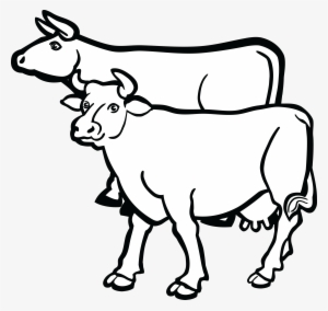 , , - Group Of Cow Drawing #2142072